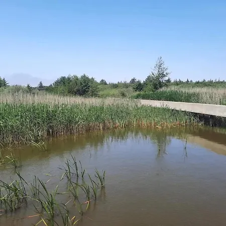 Renovated Retreat With Pool - By Traum Feriehus