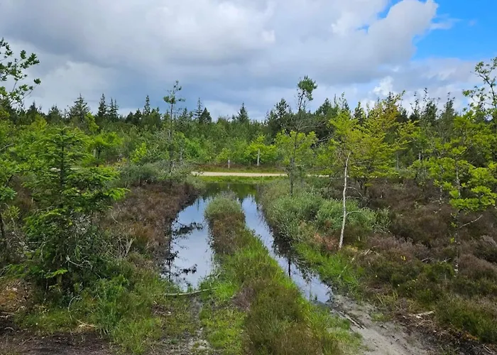 Hébergement de vacances Renovated Retreat With Pool - By Traum