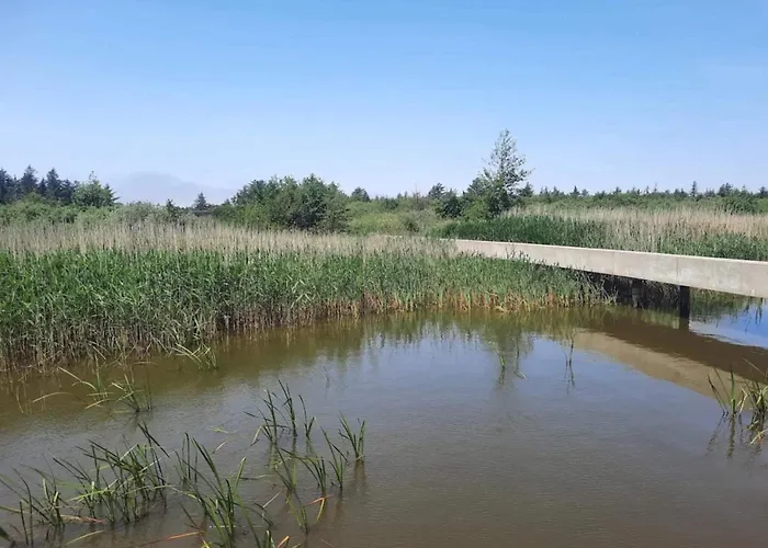 Renovated Retreat With Pool - By Traum Hébergement de vacances