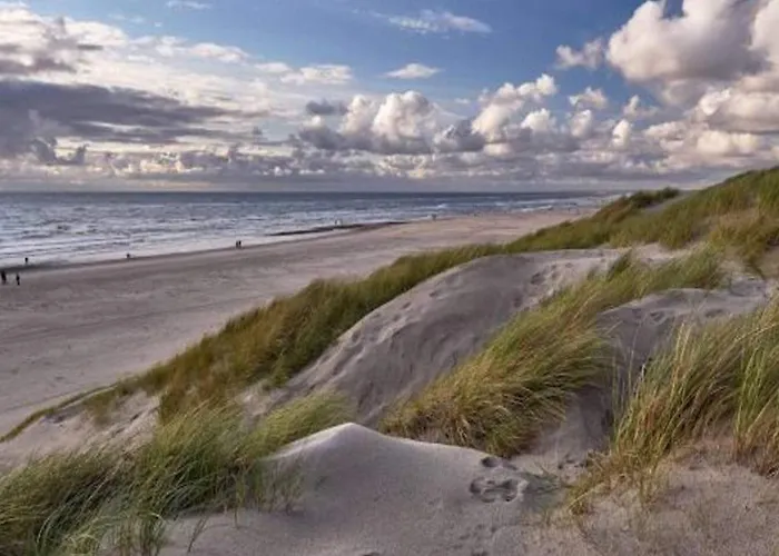 Renovated Retreat With Pool - By Traum