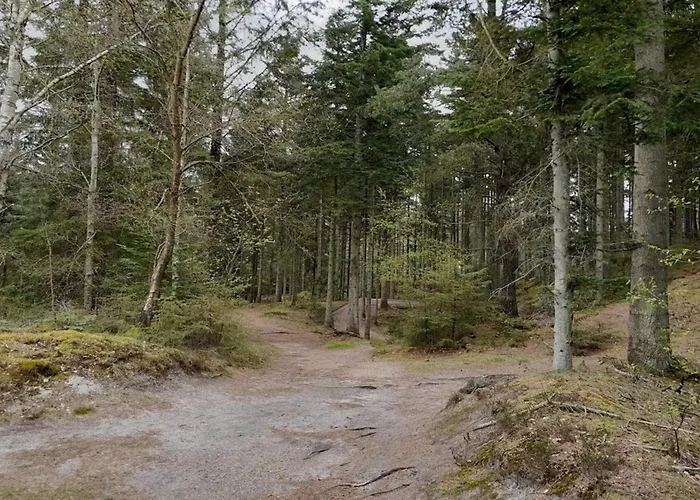 Hébergement de vacances Renovated Retreat With Pool - By Traum Henne Strand