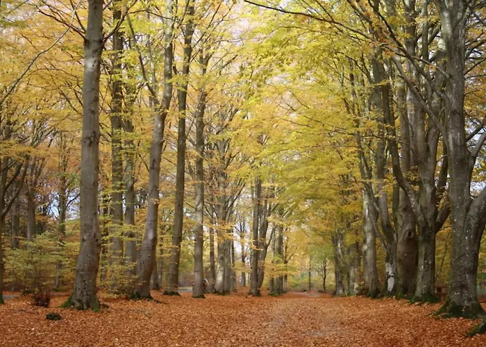 Renovated Retreat With Pool - By Traum * Henne Strand