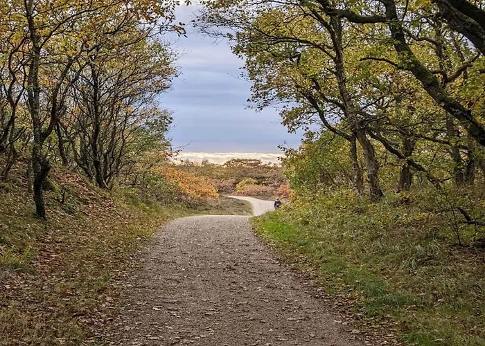 Renovated Retreat With Pool - By Traum